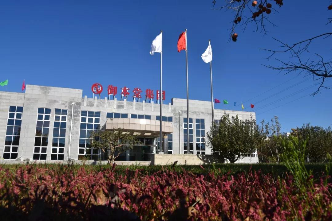 御本堂助力建设健康中国服务中医药行业